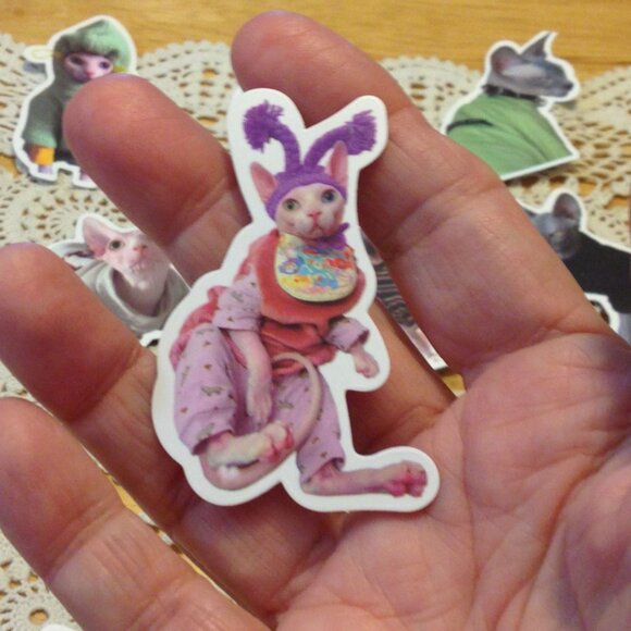 Sphynx Cats Stickers, funny, quirky, silly, for cellphone, crafts, hydroflask - Picture 4 of 6